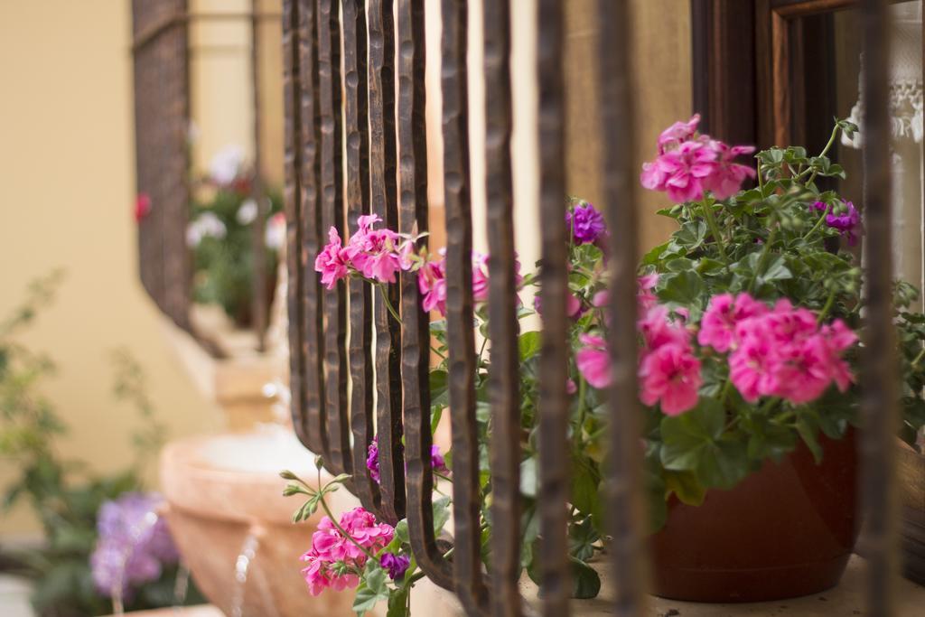 Casa Buena Vista Ξενοδοχείο Antigua Εξωτερικό φωτογραφία